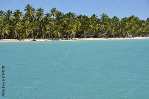 Rajska pla  a - Saona  Dominikana