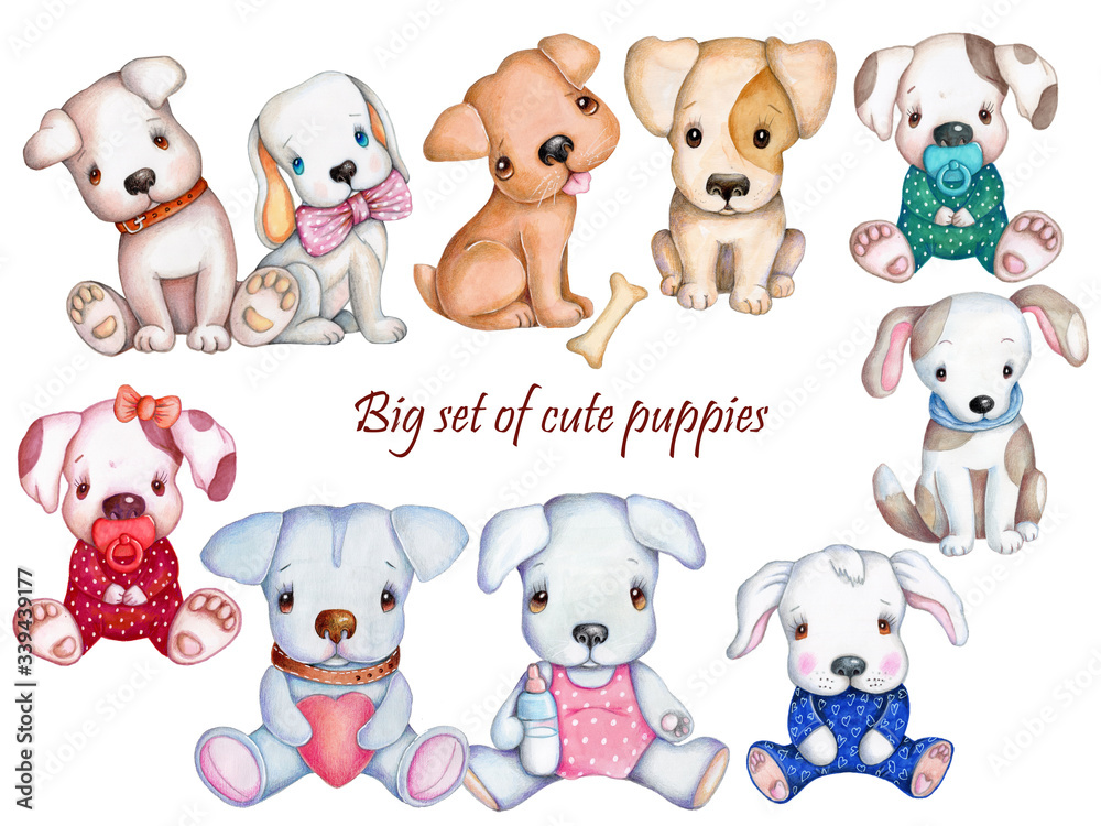 Set collection clipart of cute pups, hand drawn, isolated on white. Dogs abd puppies for kids. Set collection clipart of cute pups, hand drawn, isolated on white. Dogs abd puppies for kids.