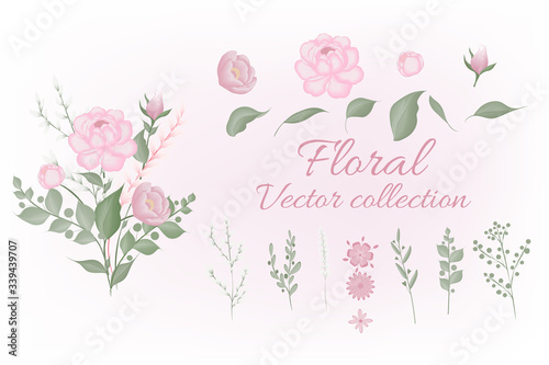 Set of floral elements. Pink flower ,green leaves. garden plants. Set: leaves flowers, branches, herbs and other natural elements. Wedding concept. Floral poster, invite.