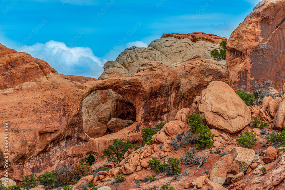 Fototapeta premium arches national park