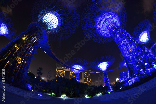 Ogród botaniczny w Singapurze