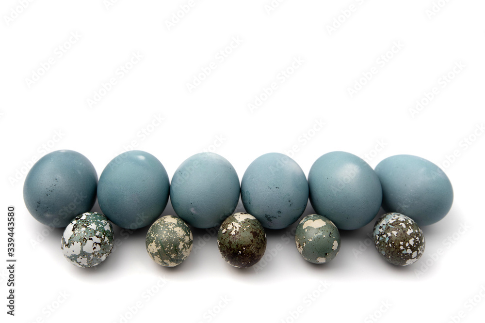 a number of chicken and quail eggs colored blue with red cabbage a number of chicken and quail eggs colored blue with red cabbage