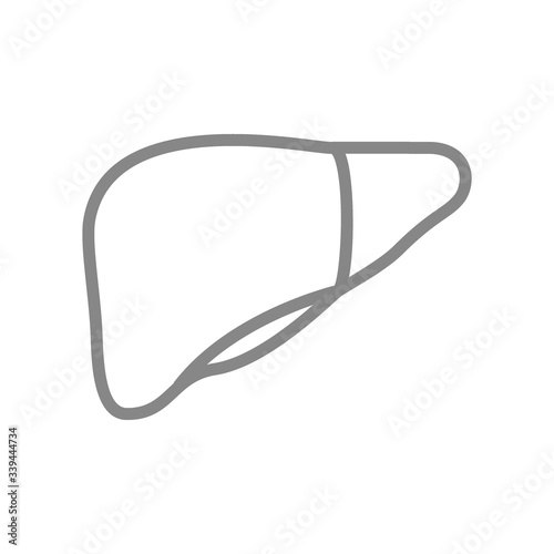 Human liver line icon. Healthy internal organ symbol