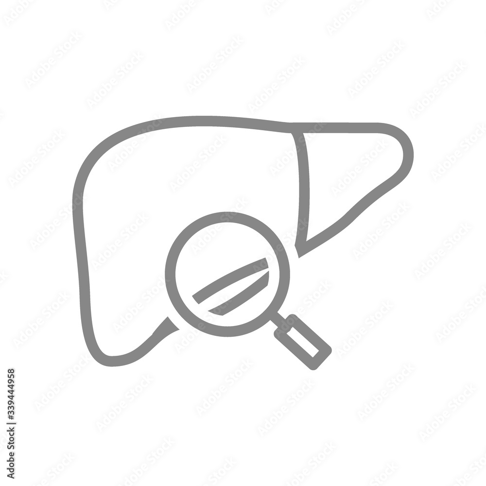 Liver with magnifying glass line icon. Organ research, disease prevention symbol Liver with magnifying glass line icon. Organ research, disease prevention symbol
