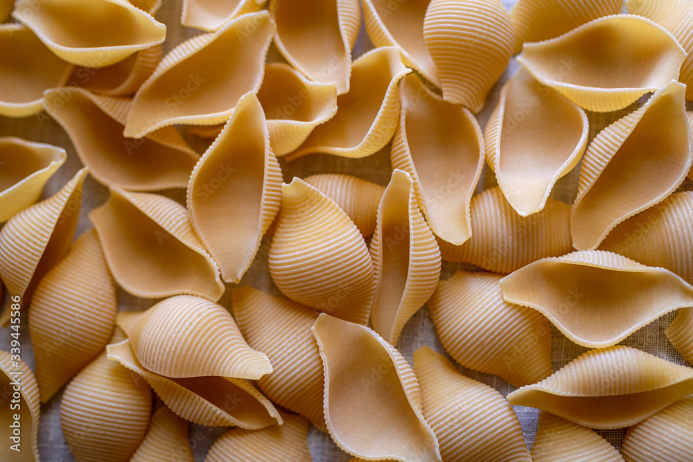 Pasta Shells Pasta Shells