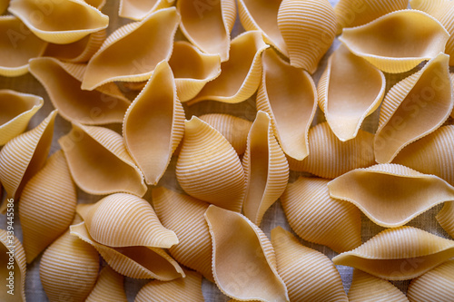 Pasta Shells