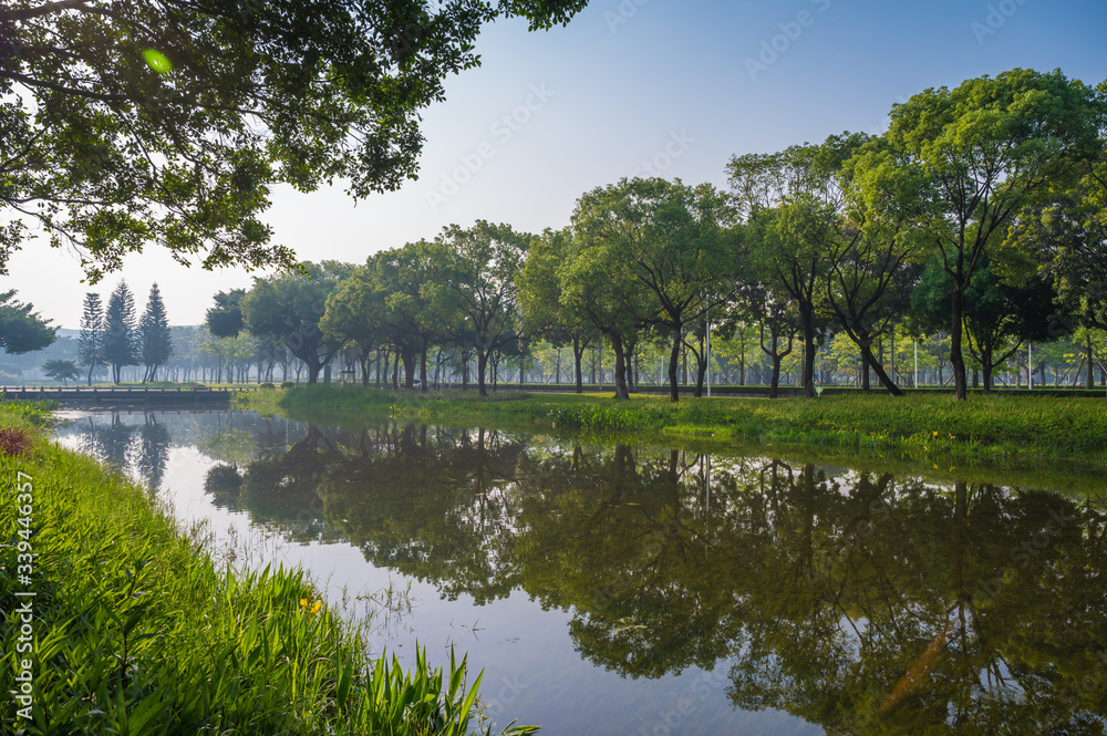 Naklejka premium Beautiful scenery by the lake in the park
