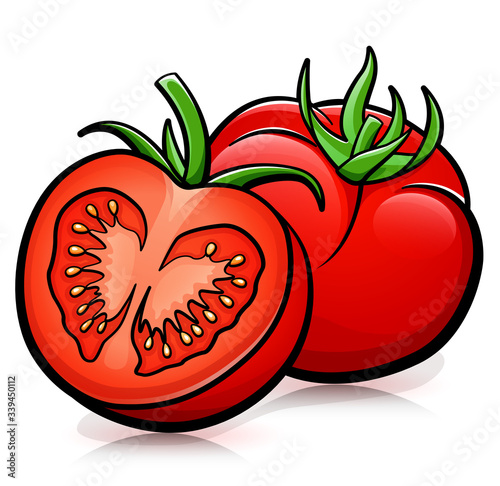 Vector tomatoes isolated design drawing