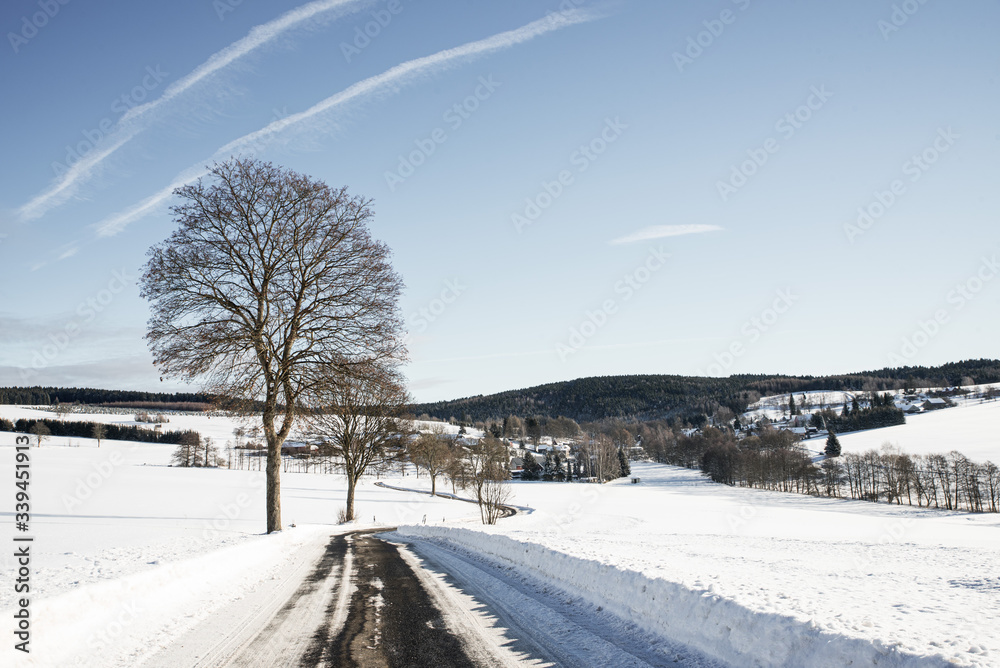winter landscape with snow covered trees winter landscape with snow covered trees