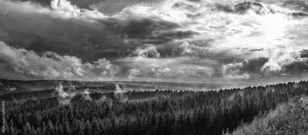 Fototapeta premium black and white