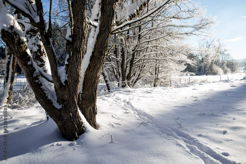winterwonderland winterwonderland