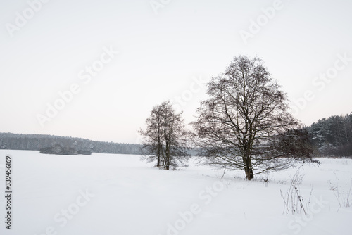 wooden in snow