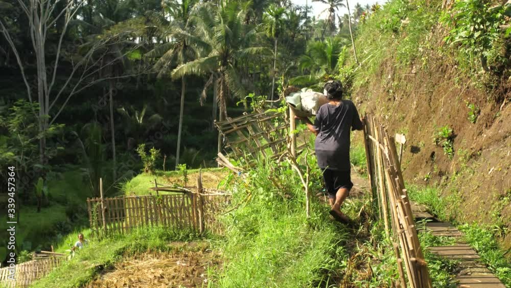 Farm worker walking on grass path near Tegalalang rice terraces in Ubud, Bali, Indonesia. Farm worker walking on grass path near Tegalalang rice terraces in Ubud, Bali, Indonesia.