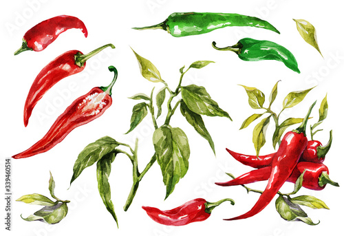Red hot chilli peppers set. Hand drawing watercolor. Can be used for postcards, stickers, encyclopedias, menus, ingredients of dishes.