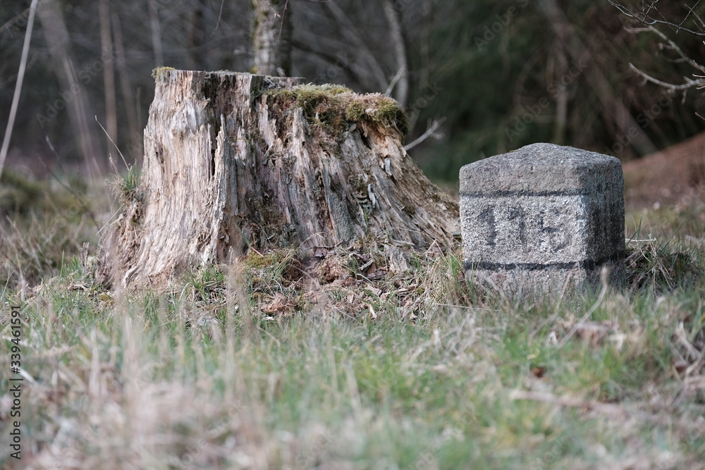 Grenzstein neben abgesägten Baum Grenzstein neben abgesägten Baum