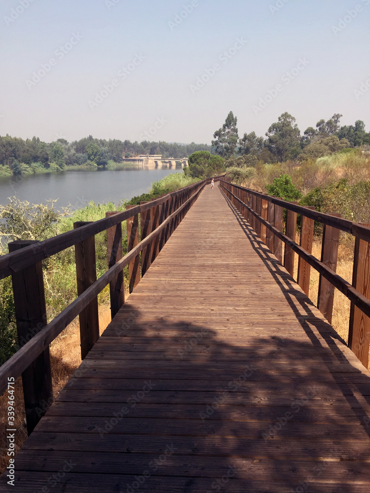 wooden footbridge in perspective on the river bank wooden footbridge in perspective on the river bank