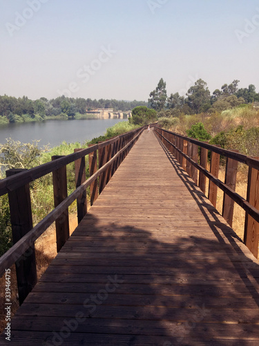 Fototapeta Naklejka Na Ścianę i Meble -  wooden footbridge in perspective on the river bank