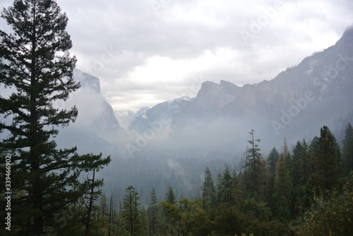 Yosemite national park in fog