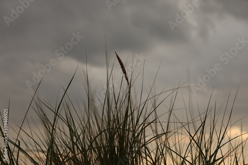 German Island Norderney in Summer Beach and Dunes