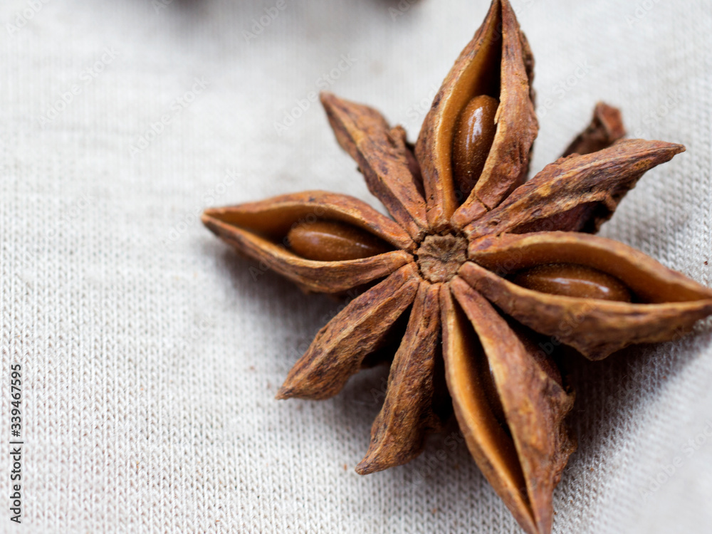 Star anise spice fruits and seeds on light background closeup seasons for coffee and desserts