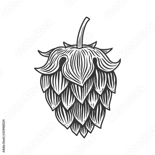 illustration of beer hop in engraving style. Design element for poster, label, sign, emblem, menu. Vector illustration
