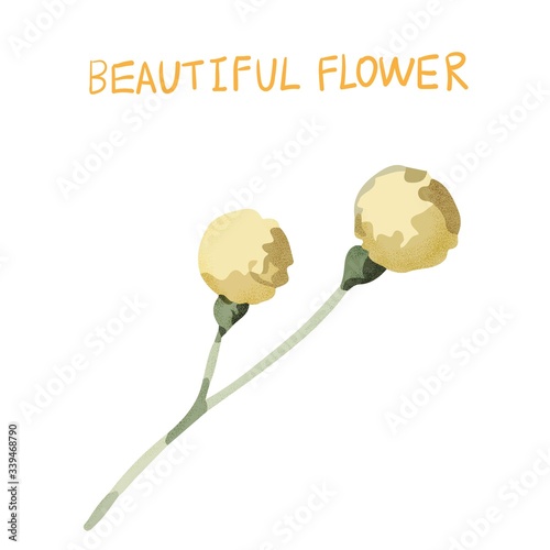 Abstract beautiful vector flower, rose flower