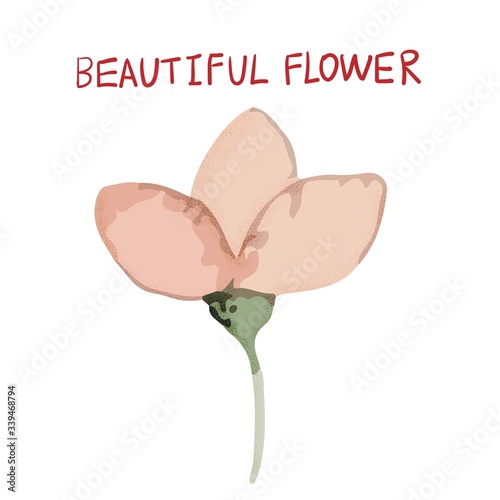 Abstract beautiful vector flower, rose flower