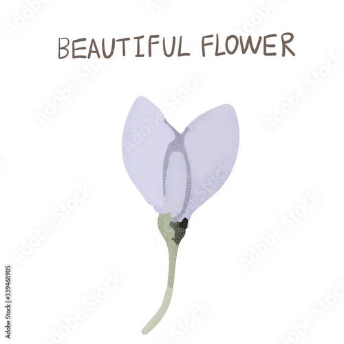 Abstract beautiful vector flower, rose flower