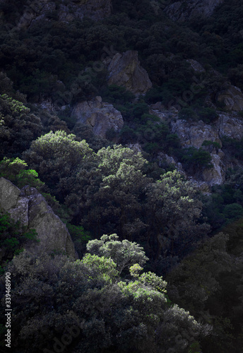 Gorge d'Heric Languedoc France. Rocks. Canyon. Valley