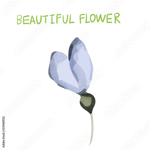 Abstract beautiful vector flower, rose flower