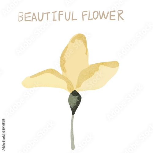 Abstract beautiful vector flower, rose flower