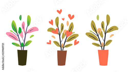 Flowerpots with green and colored leaves set. Potted houseplants, set of indoor flowers. Graphic hand drawn vector cartoon illustration.