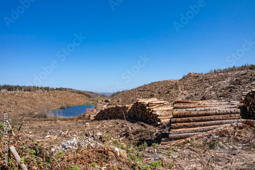 Timber stacks at Bonny Glen in County Donegal - Ireland