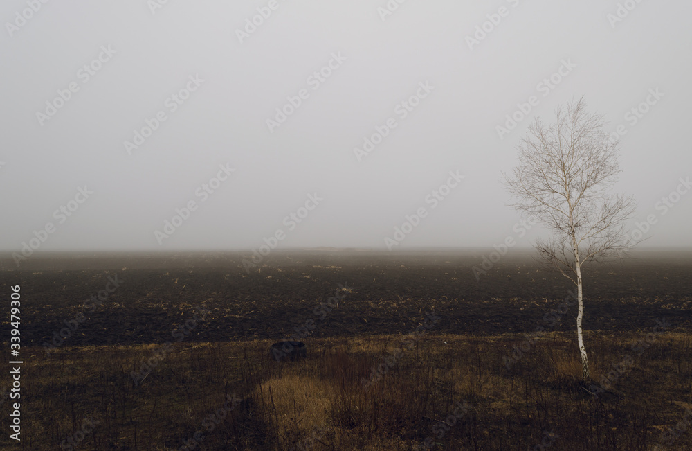 foggy morning on the landscape foggy morning on the landscape