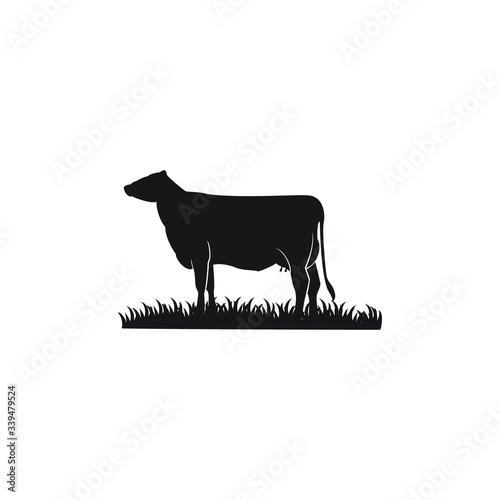 silhouette of a cow