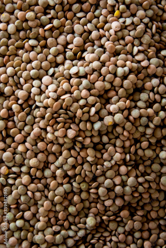 brown lentils on white surface brown lentils on white surface