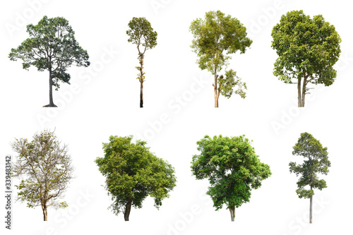 set of trees isolated 