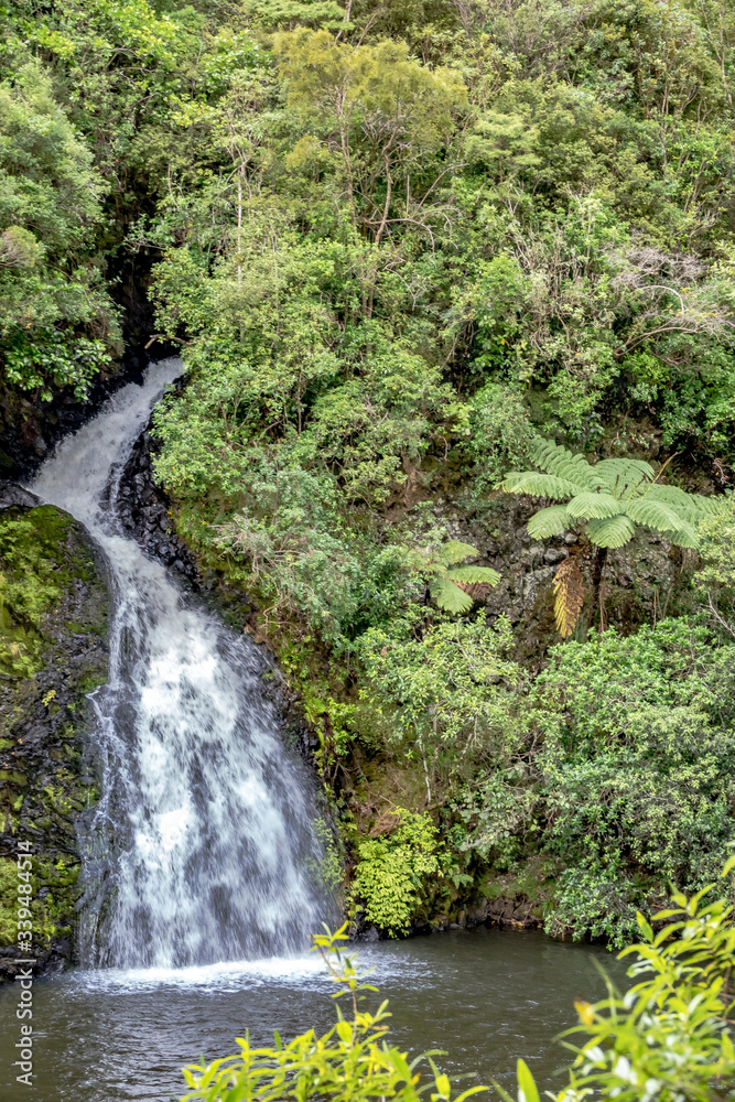 Small waterfall in the rainforest of New Zealand