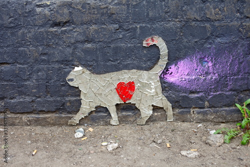 Photography A graffiti mirror piece cat on a wall in Berlin
