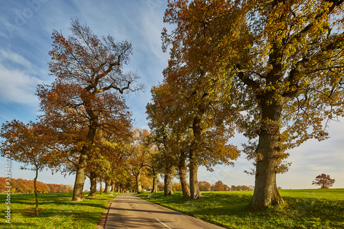 eichen allee