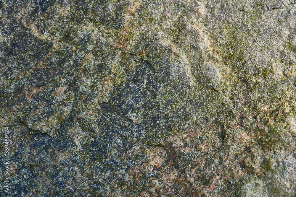 Fototapeta premium mokry kamień