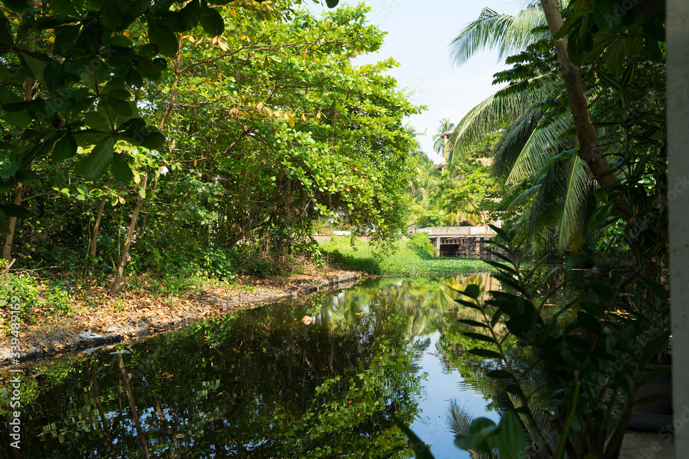 river in green tropical forest