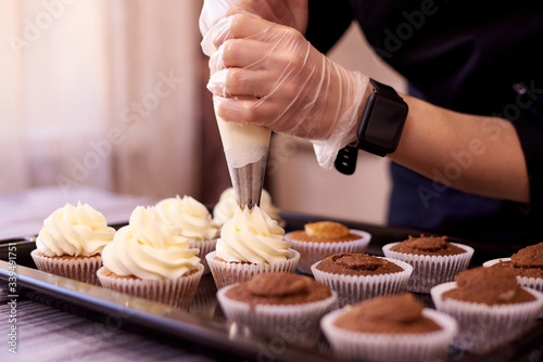 фотография Chocolate cupcakes with a swirl of cream