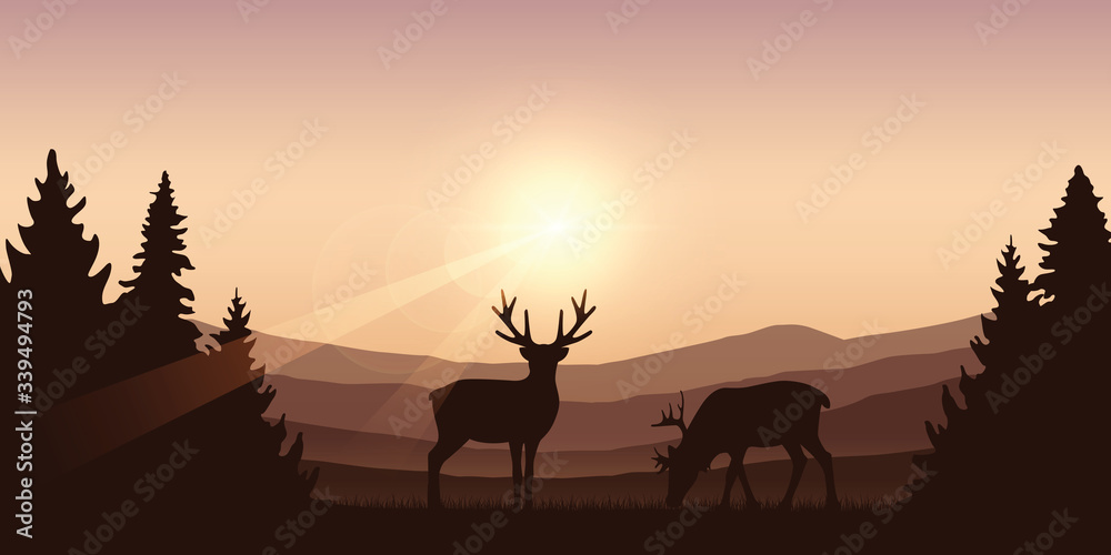 wildlife deer on autumn mountain and forest landscape vector illustration EPS10