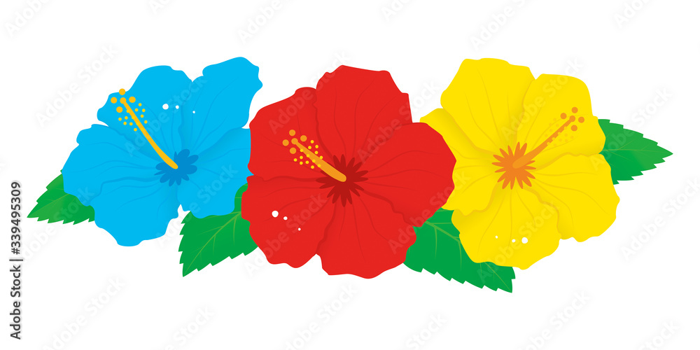赤と青と黄色のハイビスカスの花のベクターイラスト Stock ベクター Adobe Stock