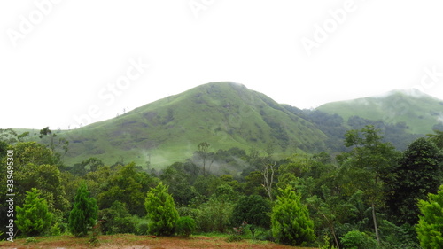 Photography Photos from Gavi, a forest area in Kerala, India