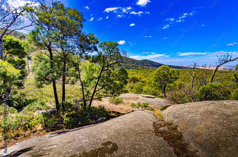 You Yangs Sunny. You Yangs Sunny.