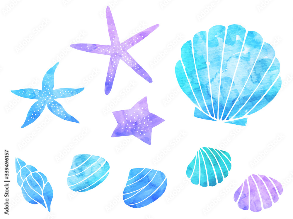貝とヒトデの水彩風イラストセット Stock Vector Adobe Stock