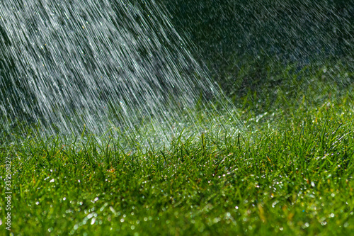 Rasen Bewässerung im Sommer- Hitzesommer mit Wasserknappheit - Wassermangel