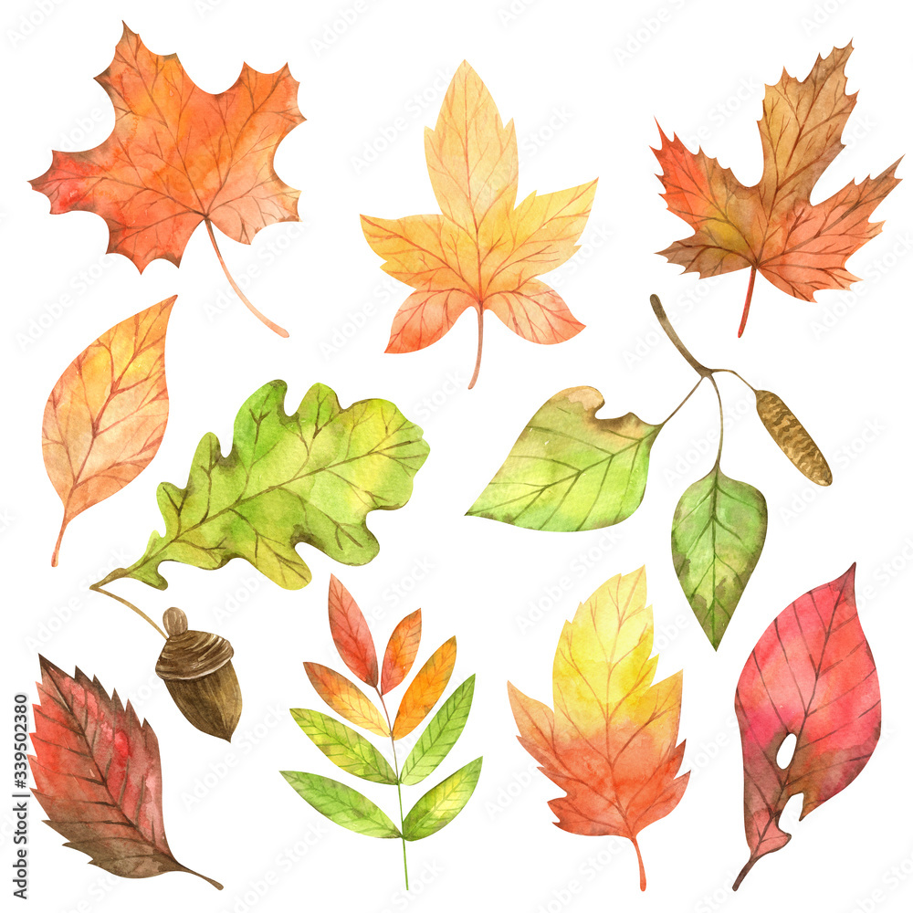 Watercolor autumn green, orange and red leaves set. Collection of isolated hand painted fall season floral elements inspired by forest and garden plants perfect for thankgiving design progects